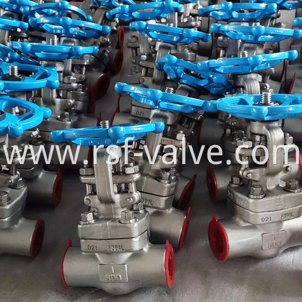 Api602 F304l Gate Valve